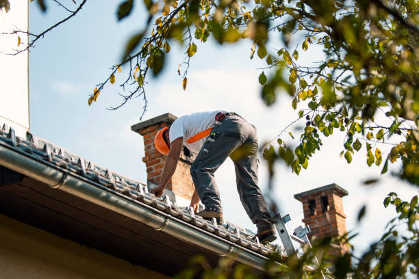 Best Flat Roof Repair Services  in Hinckley, IL