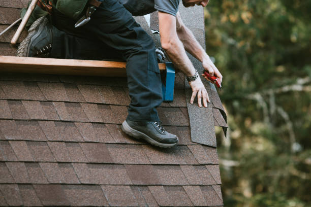 Roof Gutter Cleaning in Hinckley, IL